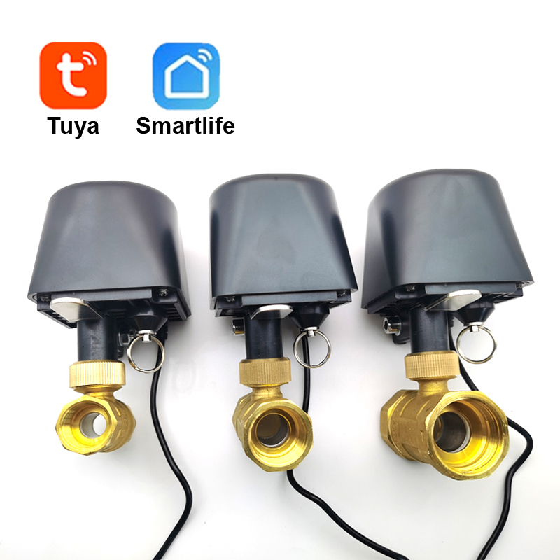 Home Assistant Tuya - Tuya WiFi of Zigbee Waterklep Uitschakeling