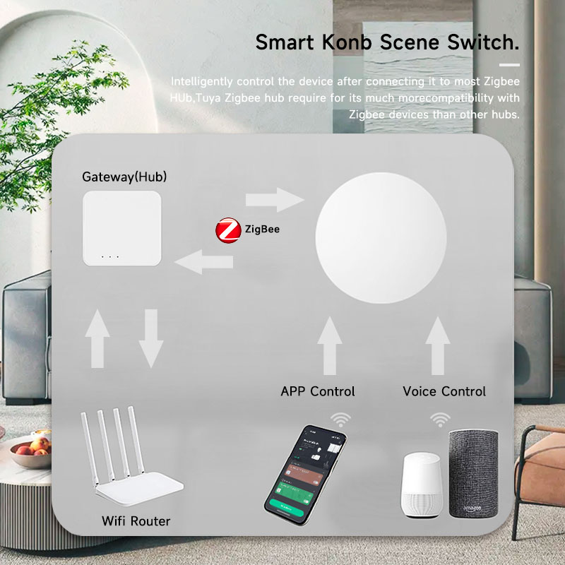Tuya ZigBee slimme draadloze k - Home Assistant Tuya recensie en prijs