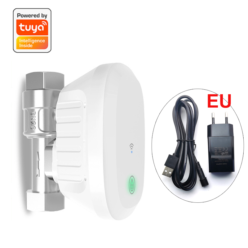 Slimme WiFi-klepmeter, waterst - Home Assistant Tuya recensie en prijs