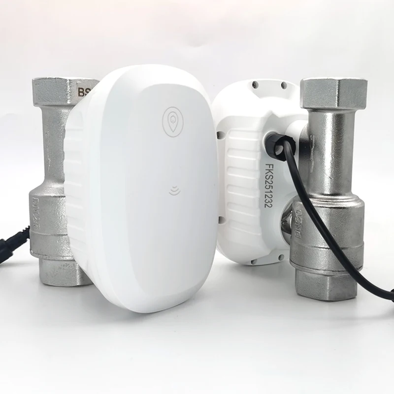 Waterklep WiFi Smart Control W - Home Assistant Tuya recensie en prijs