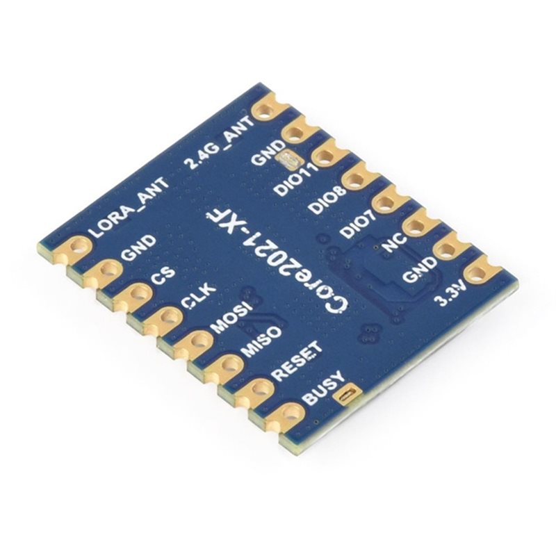 AA60 Core2021-LF LoRa dual-ban - Smart Home Module Iot recensie en prijs