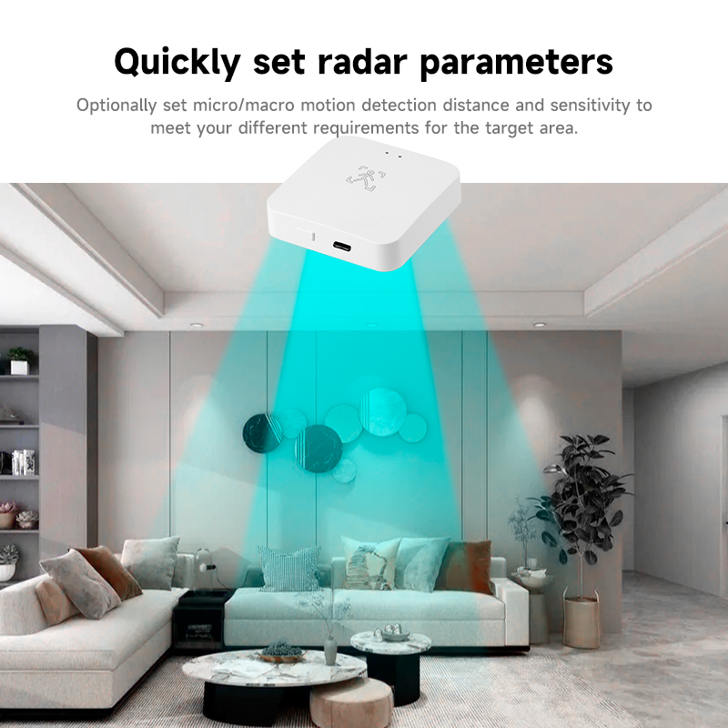 Tuya Smart Life WiFi Menselijk - Home Assistant Tuya recensie en prijs