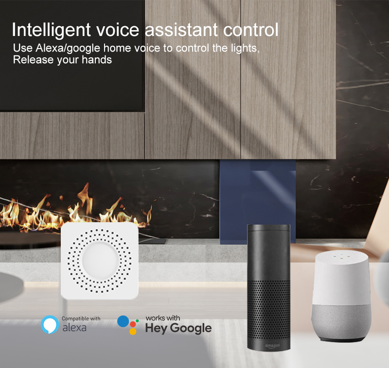 Tuya Mini Smart Switch WiFi 1- - Home Assistant Tuya recensie en prijs
